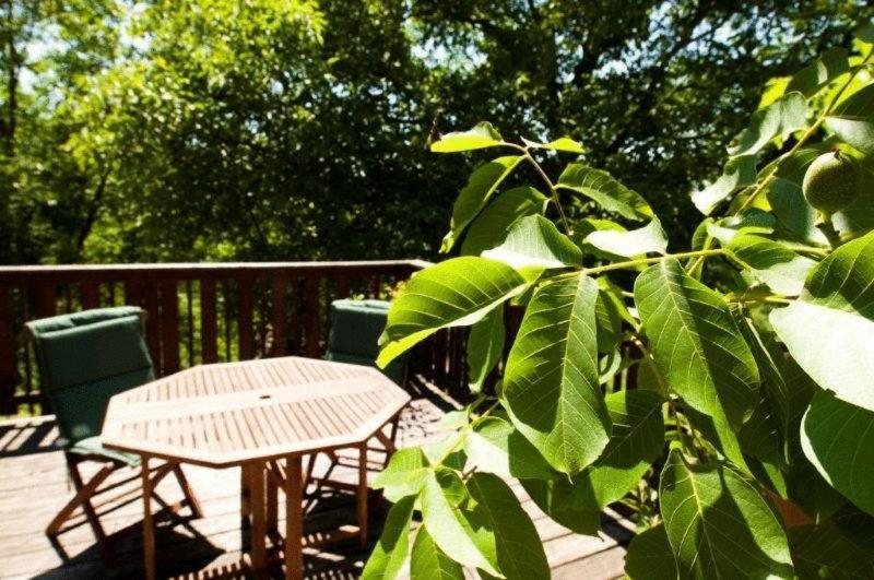 Hotel Garni Winzerhof Hoedl Wagna Ngoại thất bức ảnh